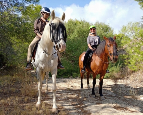 Paseo en familia con caballos en Alicante