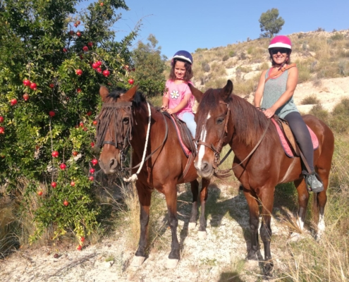 Paseo a caballo en Alicante